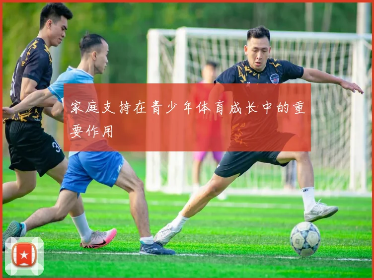 家庭支持在青少年体育成长中的重要作用