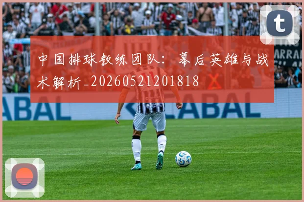 中国排球教练团队:幕后英雄与战术解析_20260521201818